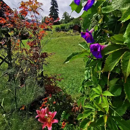 Διαμέρισμα La Terrasse Du Mont Blanc *